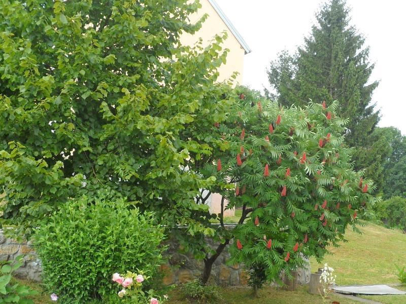 Apartment Rendulic Rakovica Exterior foto